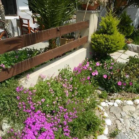 Big Dino's Galini * Aszproválta